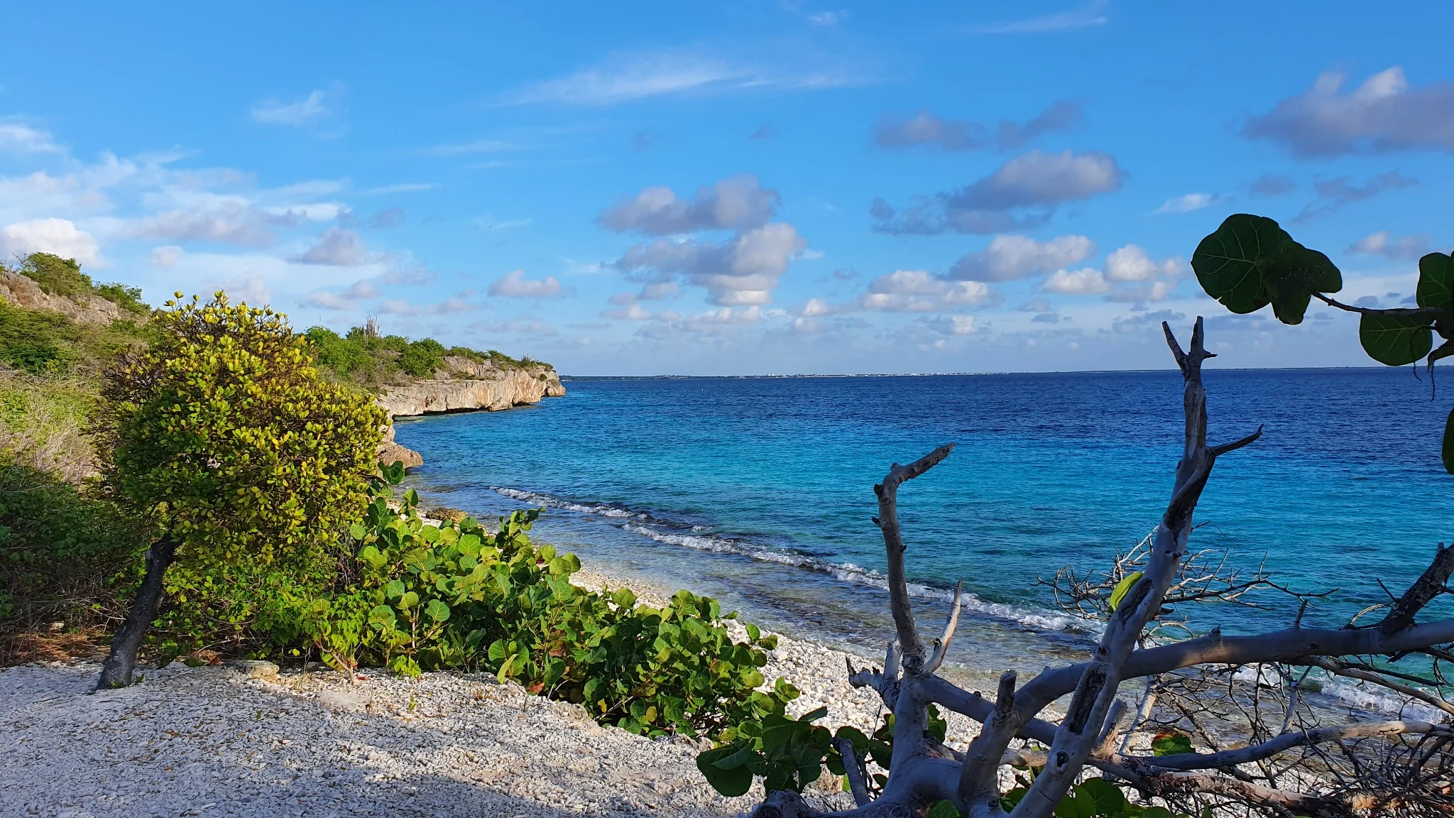 Bonaire coastline with turquoise Caribbean water