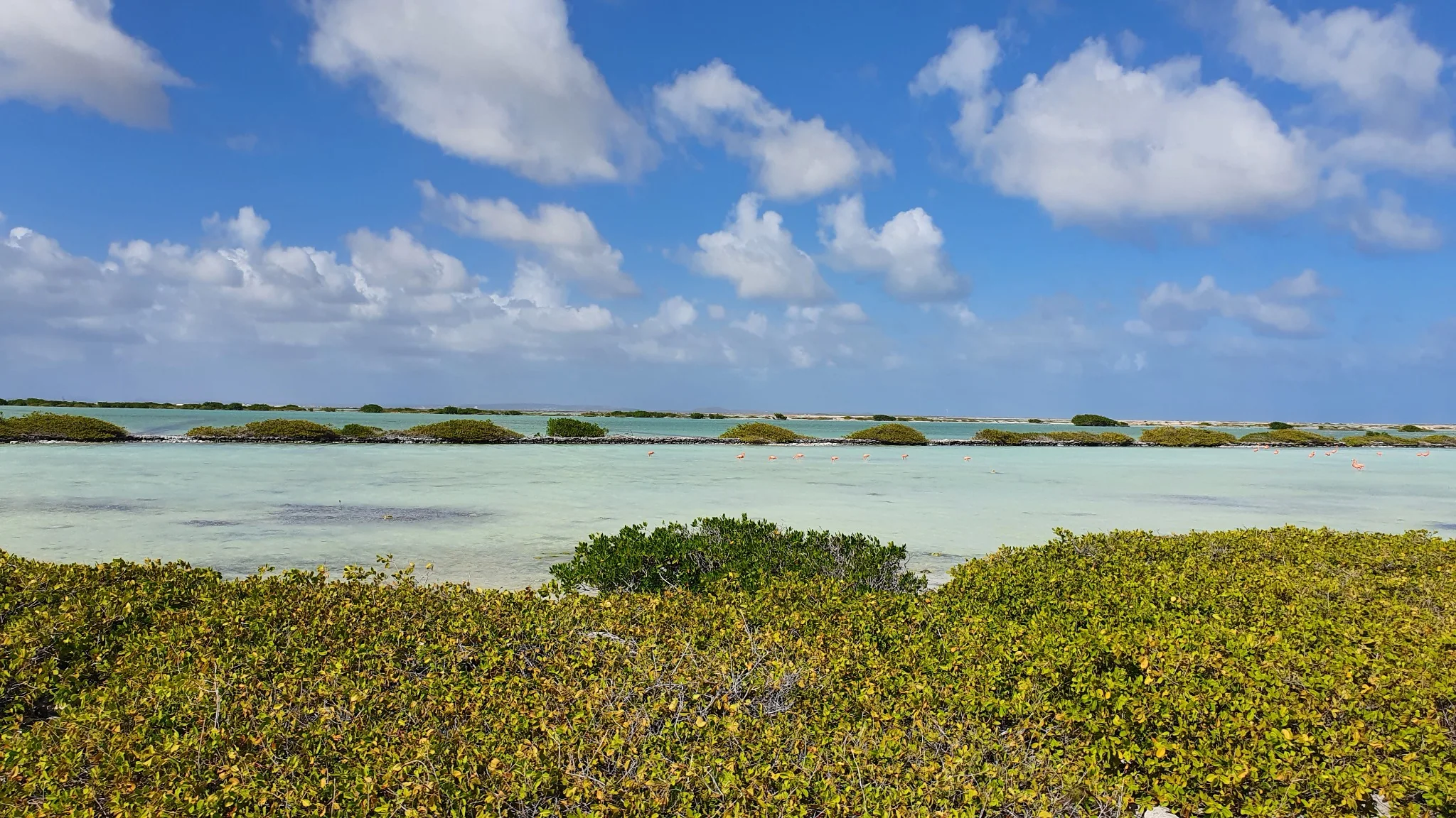 Bonaire lagoon under a bright Caribbean sky